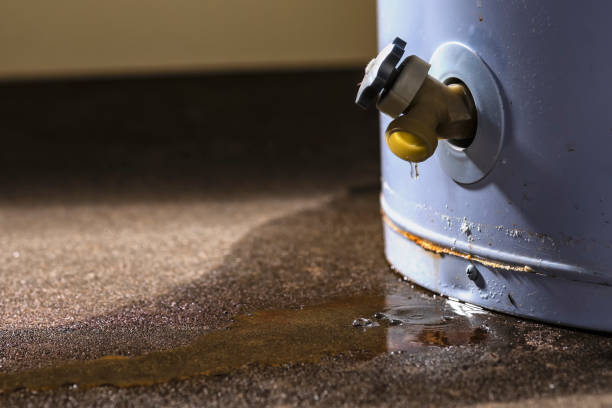 Best Water damage restoration services  in Port Huron, MI