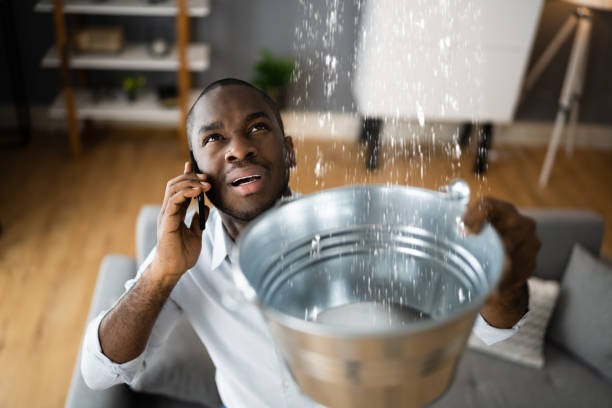 Best Local water damage restoration  in Port Huron, MI