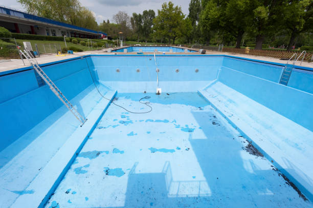 Best Flood damage cleanup  in Port Huron, MI