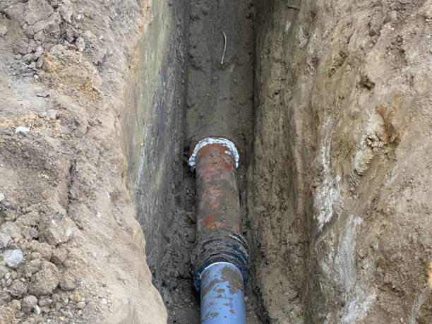 Best Emergency water extraction  in Port Huron, MI