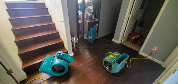 Best Flood restoration services  in Port Huron, MI