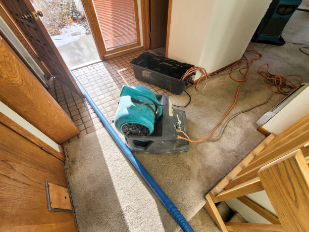 Best Ceiling water damage repair  in Port Huron, MI