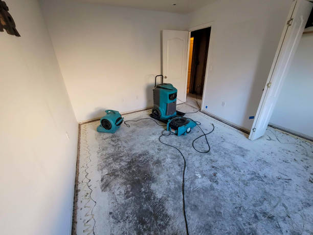 Best Commercial water damage restoration  in Port Huron, MI