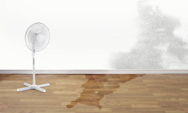 Best Professional water damage repair  in Port Huron, MI