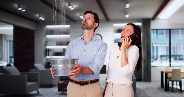 Best Mold removal after water damage  in Port Huron, MI
