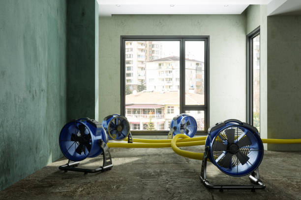 Best Water damage cleanup near me  in Port Huron, MI
