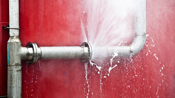 Best Carpet water damage restoration  in Port Huron, MI