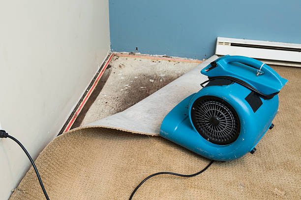 Best Professional water damage repair  in Port Huron, MI
